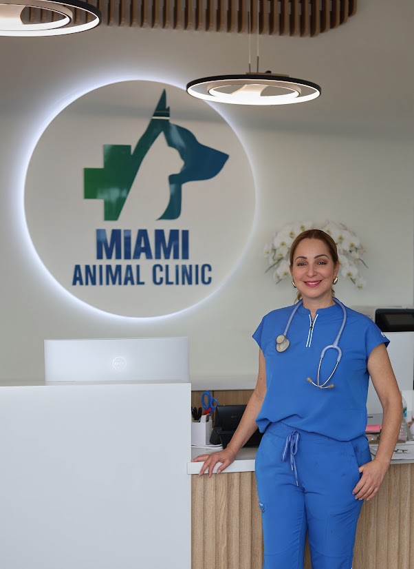 new clients welcome Miami, FL 